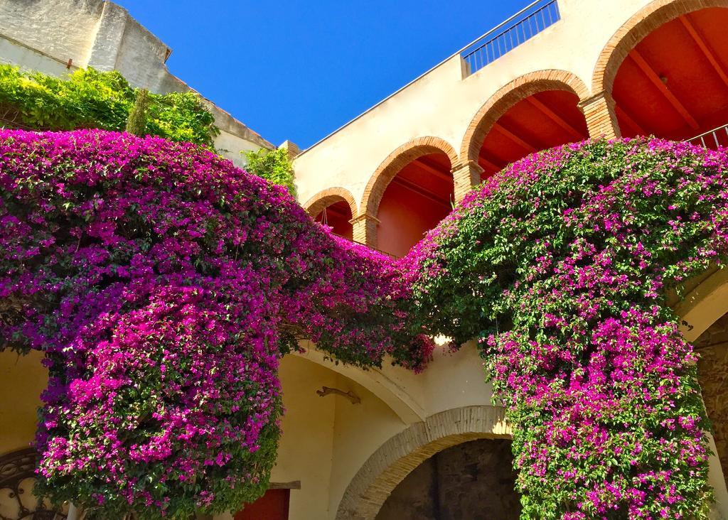 Apartaments Can Gibert Castello d'Empuries Bagian luar foto