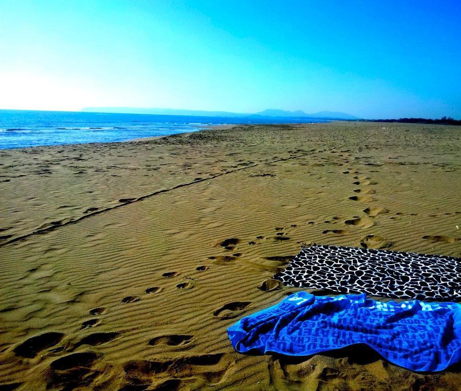Apartaments Can Gibert Castello d'Empuries Bagian luar foto