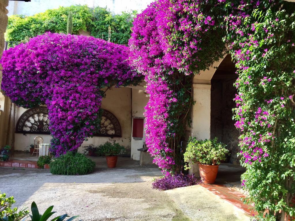 Apartaments Can Gibert Castello d'Empuries Bagian luar foto