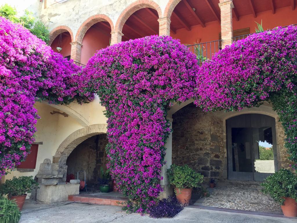 Apartaments Can Gibert Castello d'Empuries Bagian luar foto